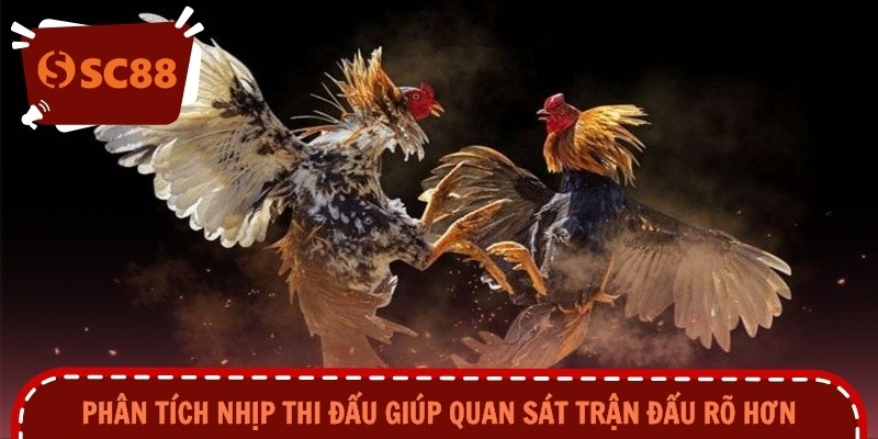 Phân tích nhịp thi đấu giúp quan sát trận đấu rõ hơn