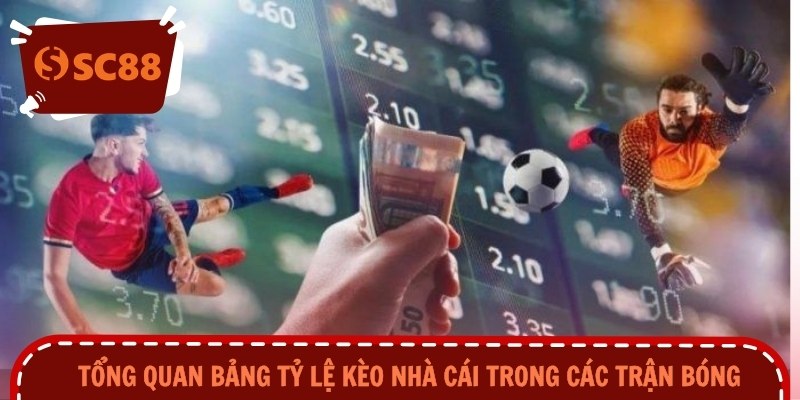 Tổng quan bảng tỷ lệ kèo nhà cái trong các trận bóng